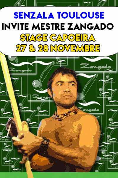 stage capoeira pressinha 2018 toulouse